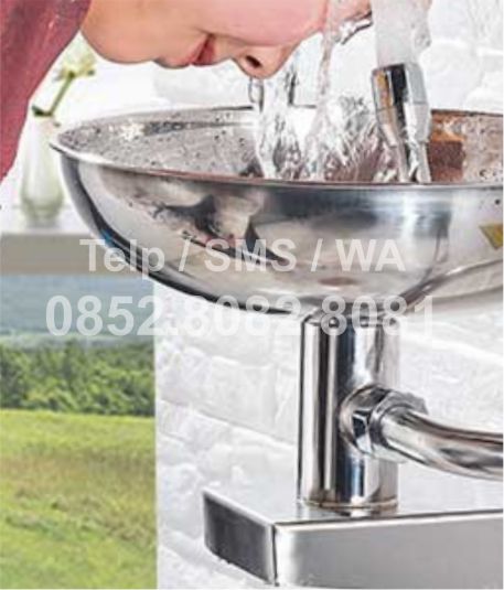 emergency wall mounted eyewash